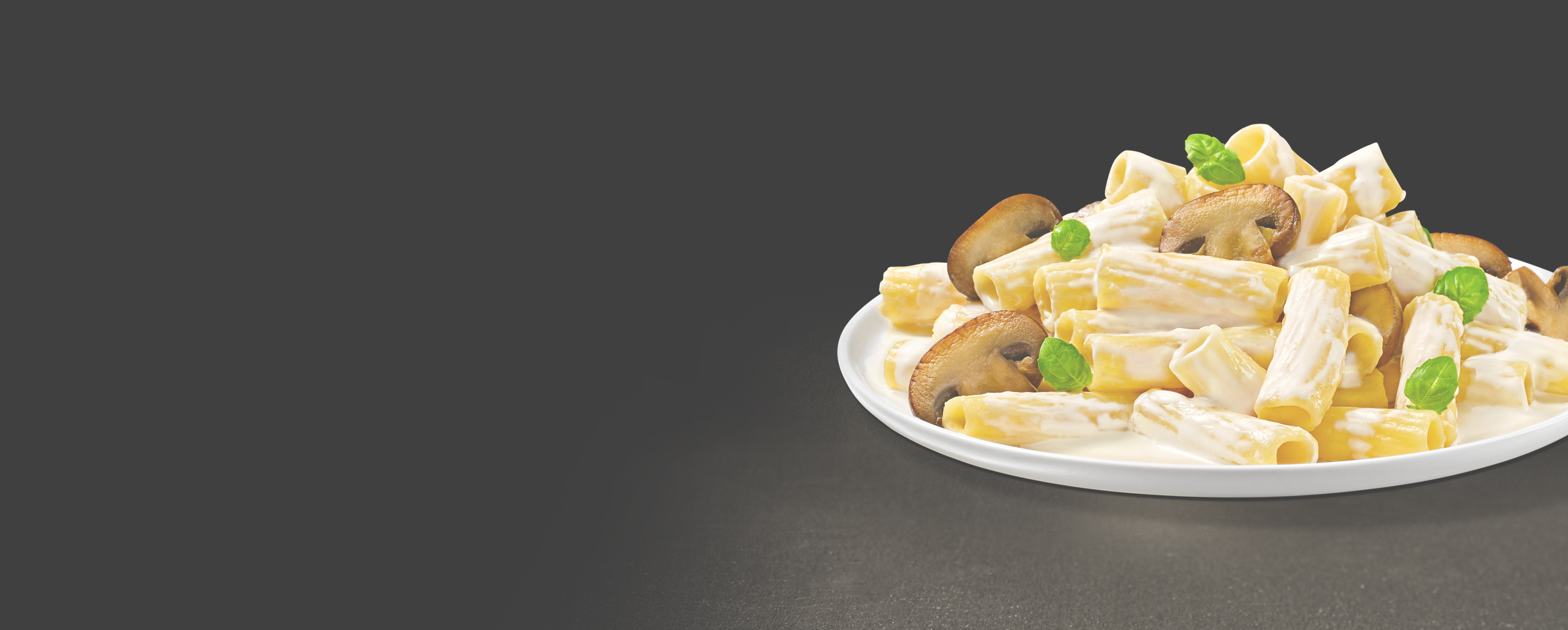 OLB_AlternativeCookingCream_BackgroundPic_2810x1129px